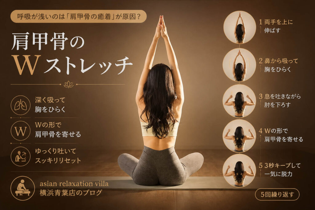 呼吸が浅いのは「肩甲骨の癒着」が原因？プロが教える胸開きWストレッチ